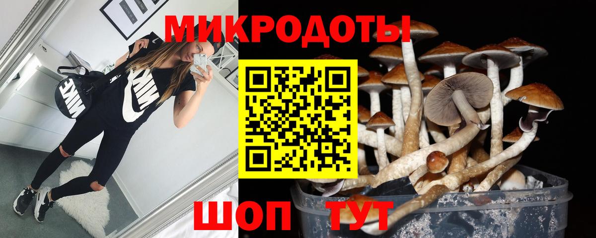 Галлюциногенные грибы мицелий  Вход с VPN  Галлюциногенные грибы GOLDEN TEACHER  Гуково 